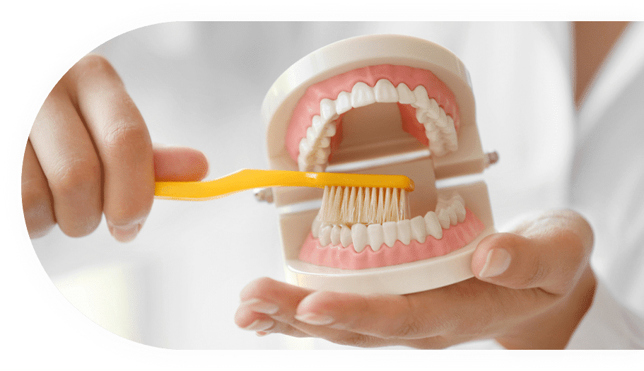 Gum Diseases — Oral Experts Group Dentists in Toowoomba, QLD